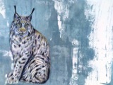 01- Wendy Britton - Lynx - Ink & Coloured Pencil.JPG